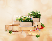 GreenBox Ultimate Indoor Garden Trio Bundle – Black November Angebot