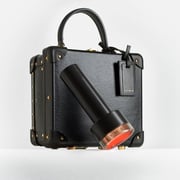 The LYMA Laser PRO and Globe-Trotter Case