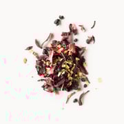 Elderberry Healer