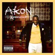 Akon, Konvicted
