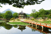 Get United's best fares today on flights from South Korea