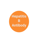 Hep B Titer- (Hep B Surface, antibody) Quantitative