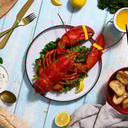 1.5 lb Live Maine Lobster