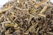 Dried Wormwood - 1 oz