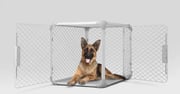 Evolv Dog Crate
