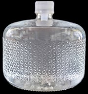2.5 Gallons of Water Delivered in Chilled Glass