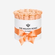 Classic White Box | Peach Roses