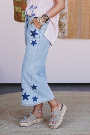 Nova Star Wide Leg Pants - Light Denim