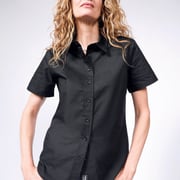 The Essential Oxford Button Up