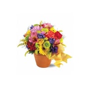 Teleflora's Fresh Blossom Potpourri - Deluxe