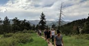 3 hour Hiking Adventure thru the Front Range of the Rockies