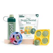 Dental Mix Basics