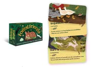 Forest Friends: Positive ­inspiration from the animal­ kingdom (Rockpool Mini ­Cards)