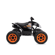 1200R ATV Ride On, 12V