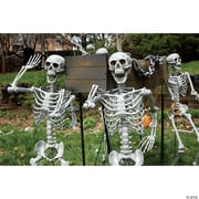5 Ft. Life Size Posable Skeleton Halloween Decoration