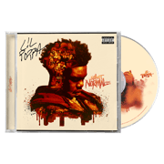 Almost Normal Again Signed CD