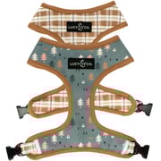 The Take a Hike Reversible Harness