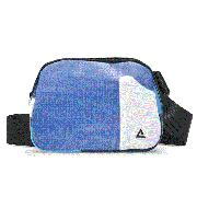 Large Zion Sling Bag