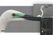 ON1 Resize AI 2026