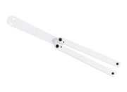 Blemished Squiddy
