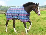 Kensington Horse SureFit Textilene Sheet