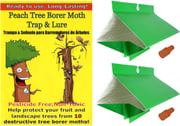 Peach Tree Borer Trap