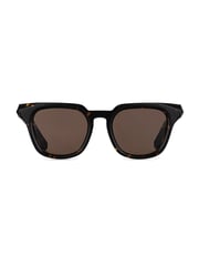 RENEGADE Tortoise | Brown