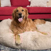 Super Soft Luxury Dog Bed