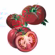 Brandywine Pink Pole Tomato