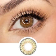 Pink Label Fresh Look Pure Hazel (Custom Toric for Astigmatism)