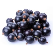 Fresh Frozen Washington Black Currants