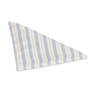 Blue Striped Bandana