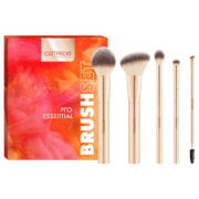 Pro Essential Brush Set