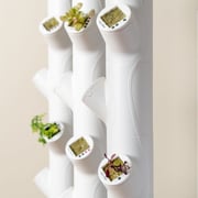 Replacement 2.0 Full Single Columns 3-Pack for Gardyn | Official Part