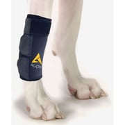 Agon Front Leg Brace & Wound Protection Paw Compression & Wrap for Dogs