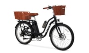 Flyer Cruiser Step-Thru 2.0