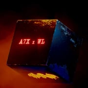 "We Love You" A7X x Wes Lang Merch Box