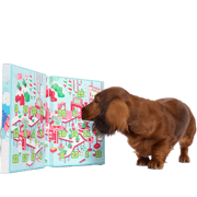 Season's Sweetings Advent Calendar
