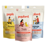 Puppy and Small Dog Favorites Pack