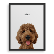 Pet Portrait - CS Gifting