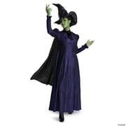 Women’s Deluxe Wicked™ Elphaba Costume