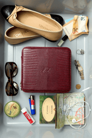 Mini Jet / Burgundy Croc