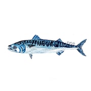 Mackerel sticker — AshaLoo