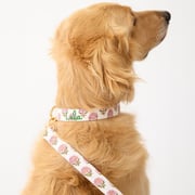 Block Print Dog Collar