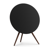 Beosound A9 Natural Aluminium - Connected Speakers Speakers
