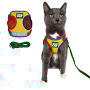 "The Rainbow" Limited Edition Cat Harness & Leash Set