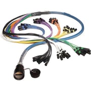 Whirlwind FM580NRW4IRP-I-25