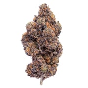SUNSET SHERBERT (INDOOR) THC-A Hemp Flower