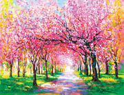 Cherry Blossom Trees
