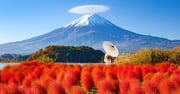 Mount Fuji Magnificent Day Tour from Tokyo - Klook